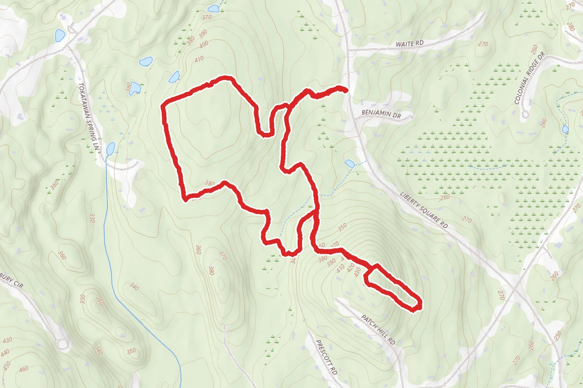 Patch Hill Red and Yellow Trail Loop