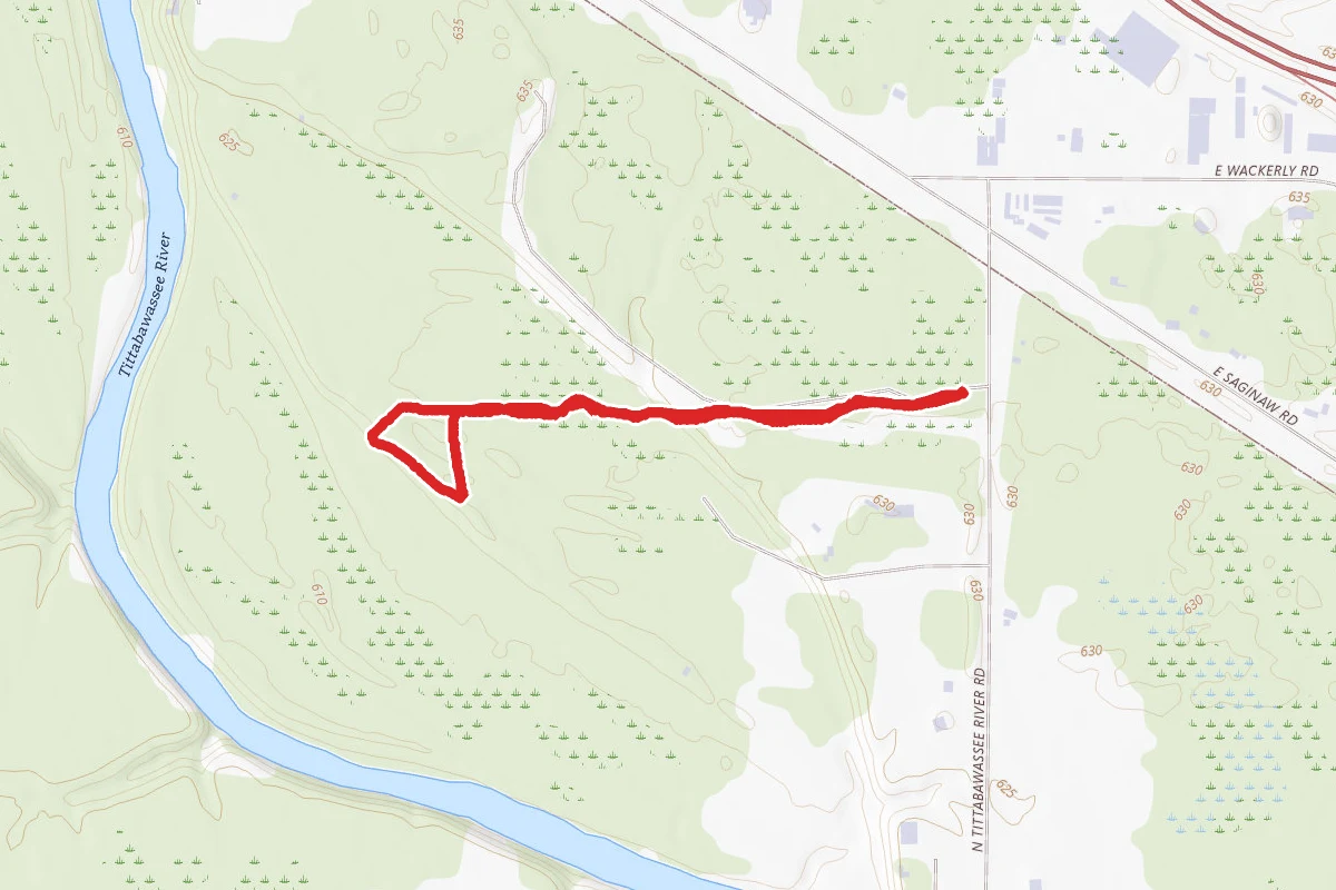 Forestview Loop