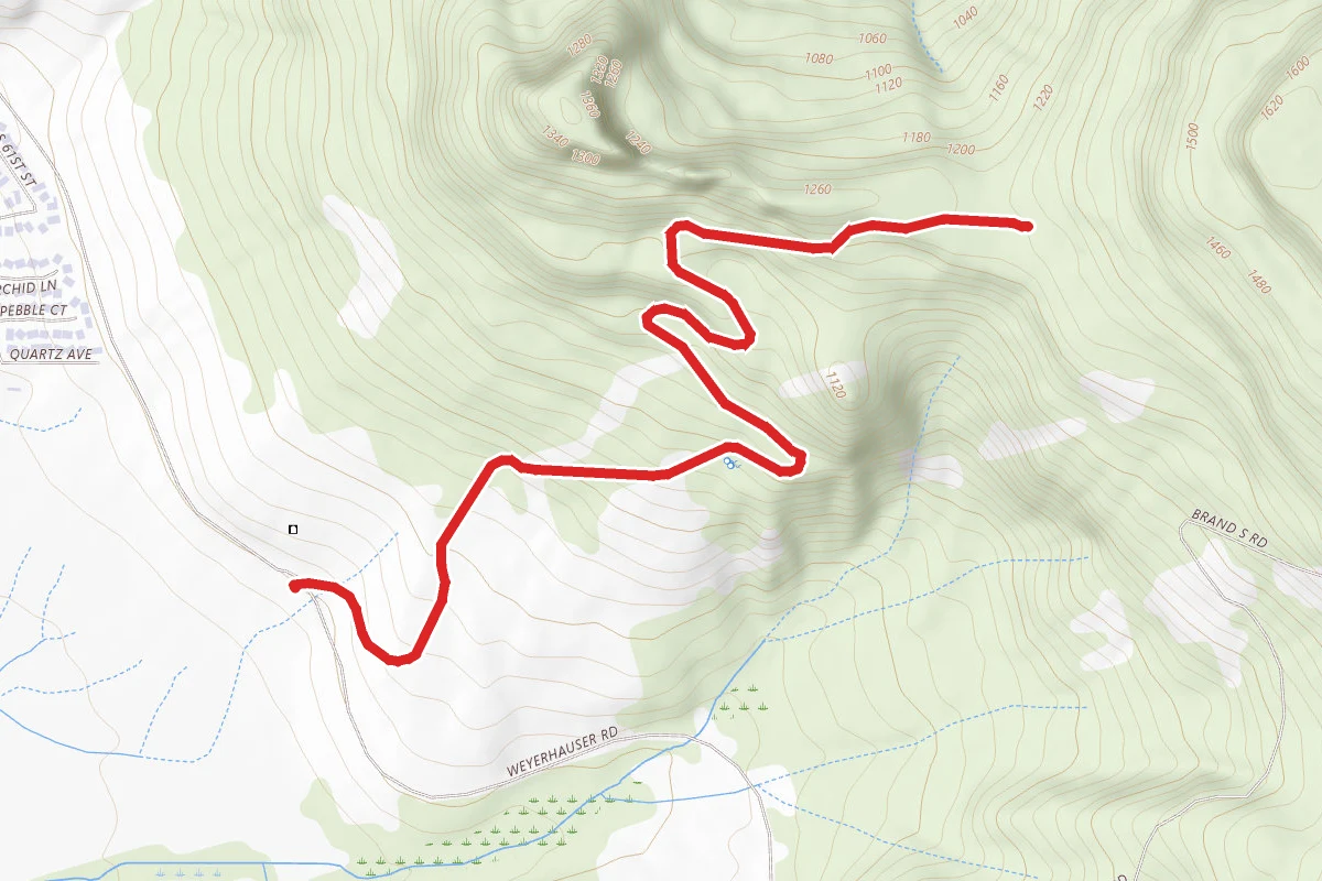 Camas Crest Trail