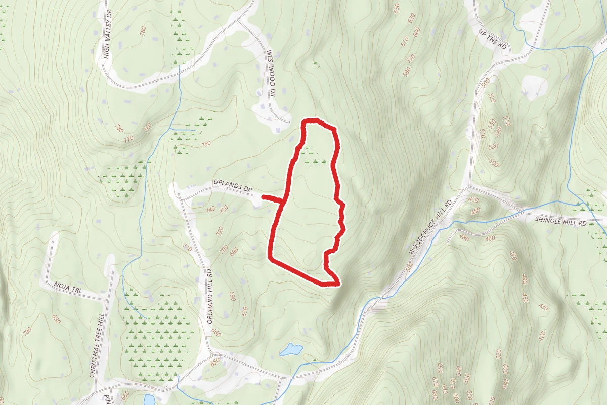 Uplands Yellow Trail