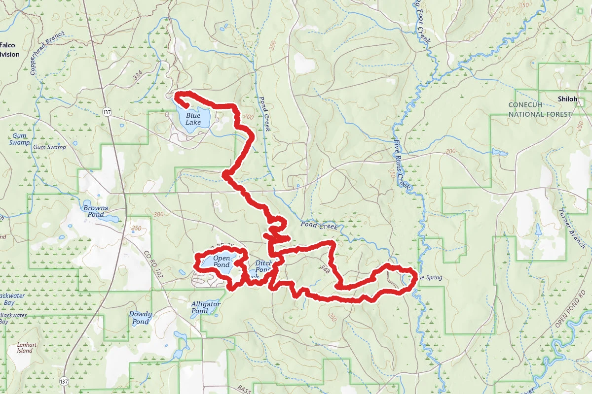 South Conecuh to Open Pond Trail