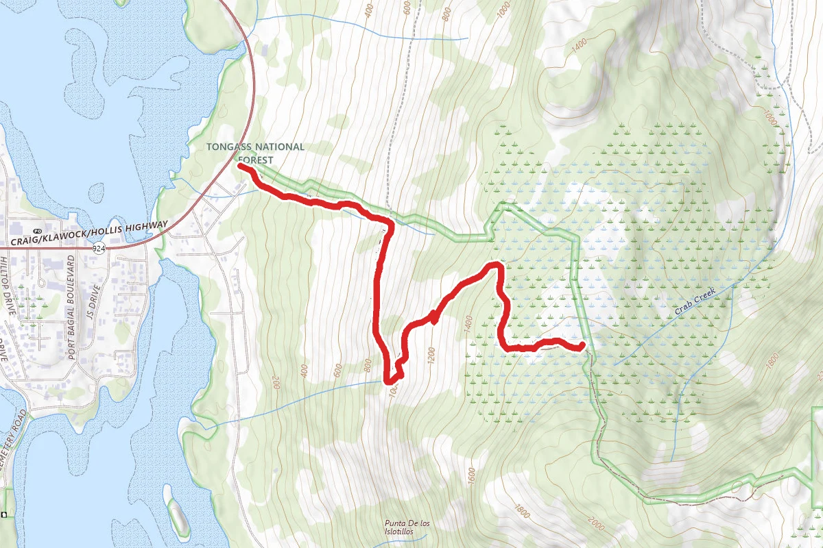 Craig Summit Hike