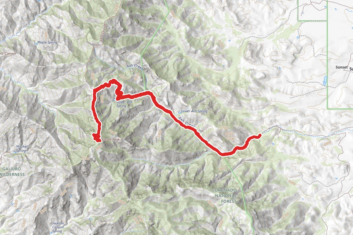 Bassett Peak Trail
