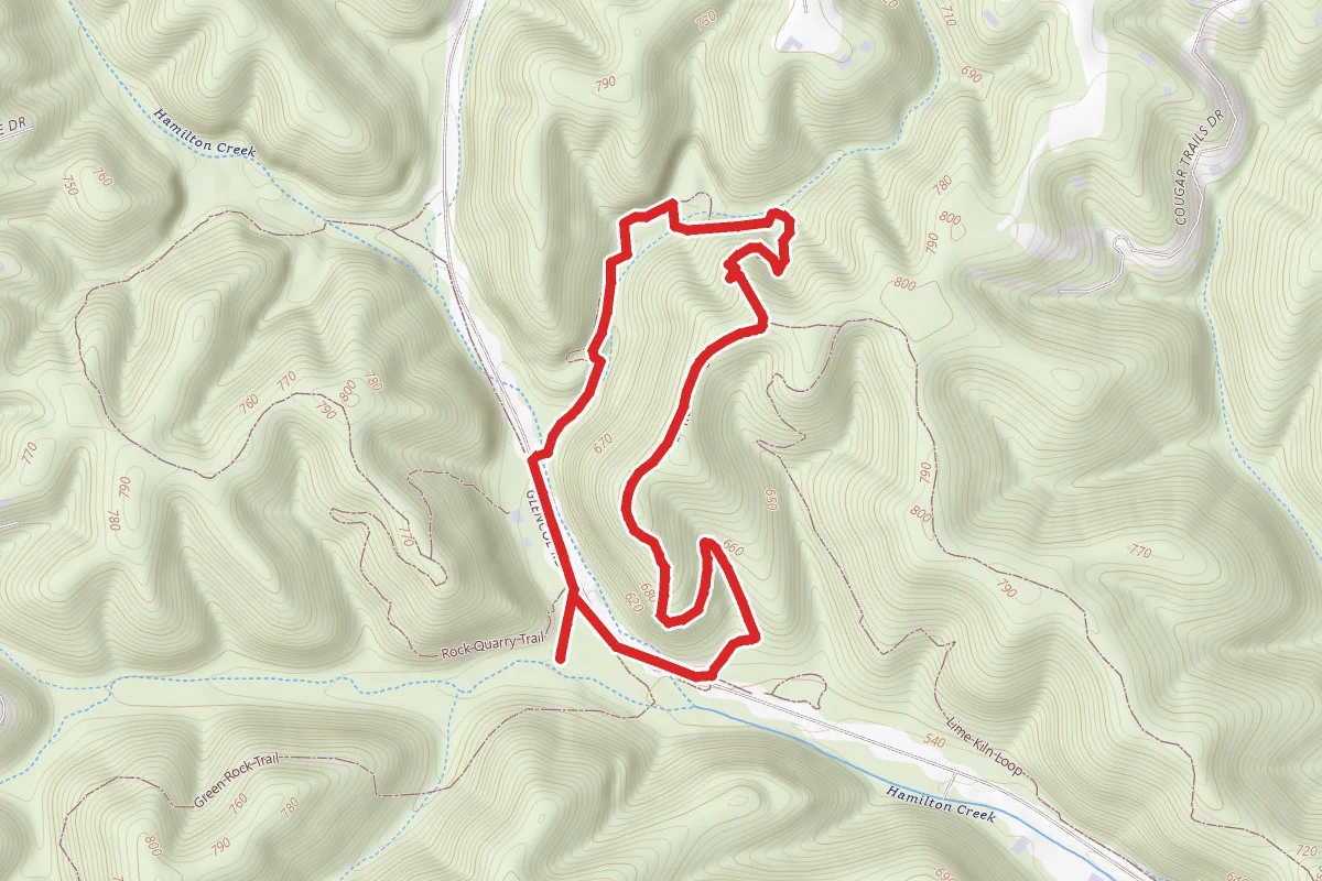 Trail Among the Trees
