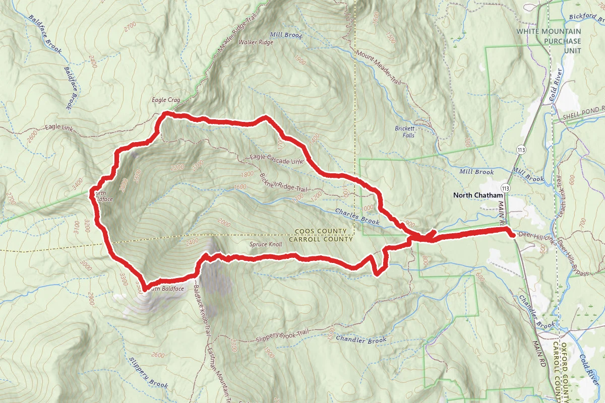 Baldface Trail