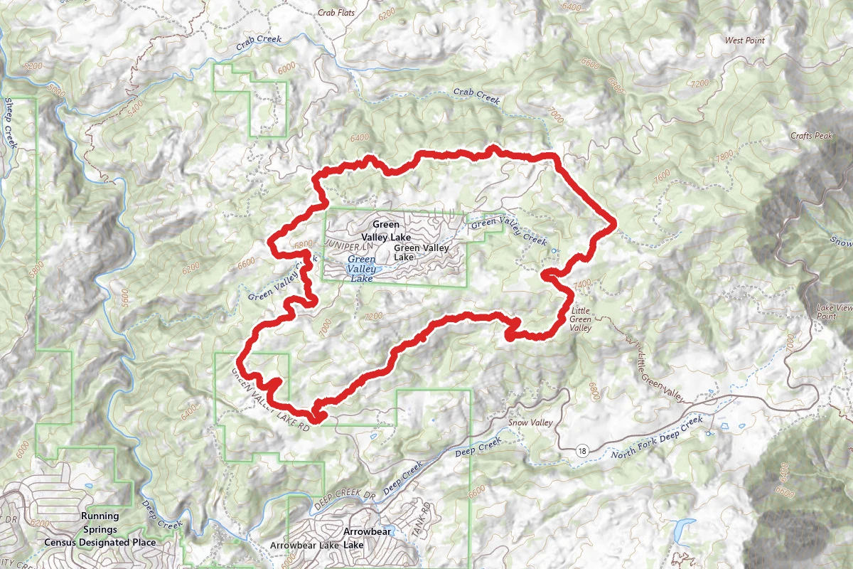 Mountain Lion Gultch