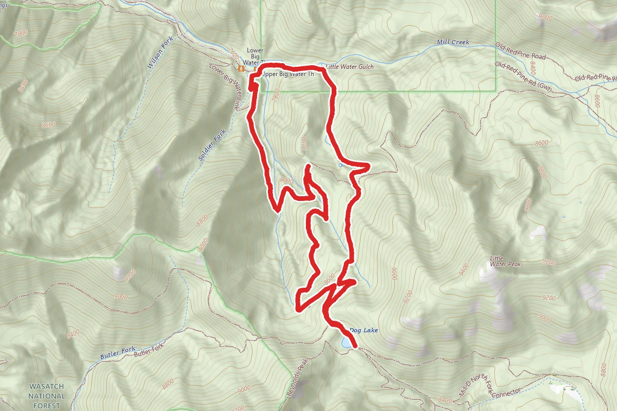 Dog Lake via Big Water and Little Water Loop