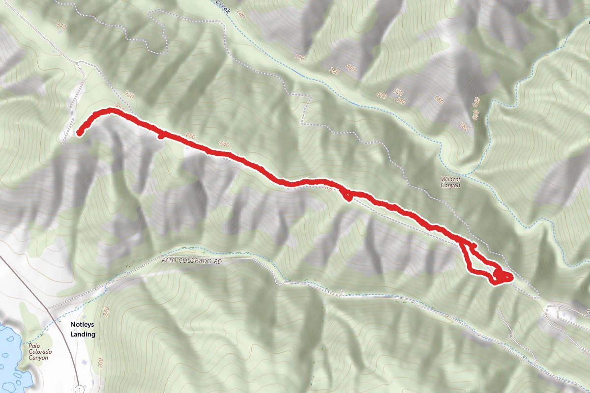 Glen Devon