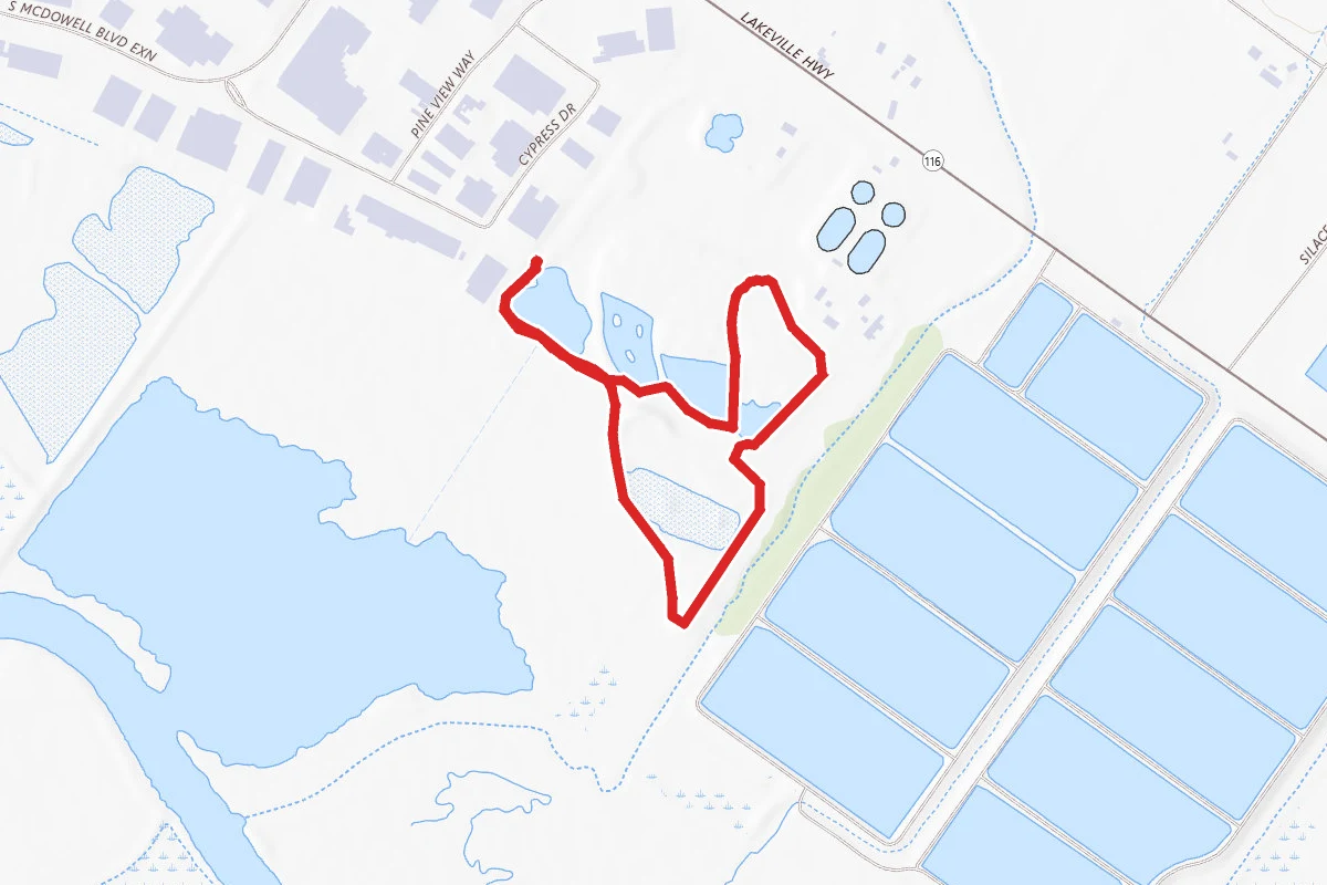 Ellis Creek Pond Loop