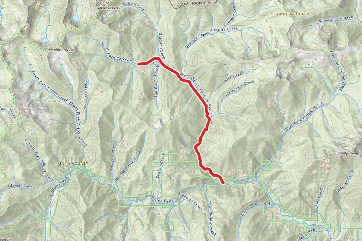 North Fork Coffee Creek Trail to Schlomberg Cabin