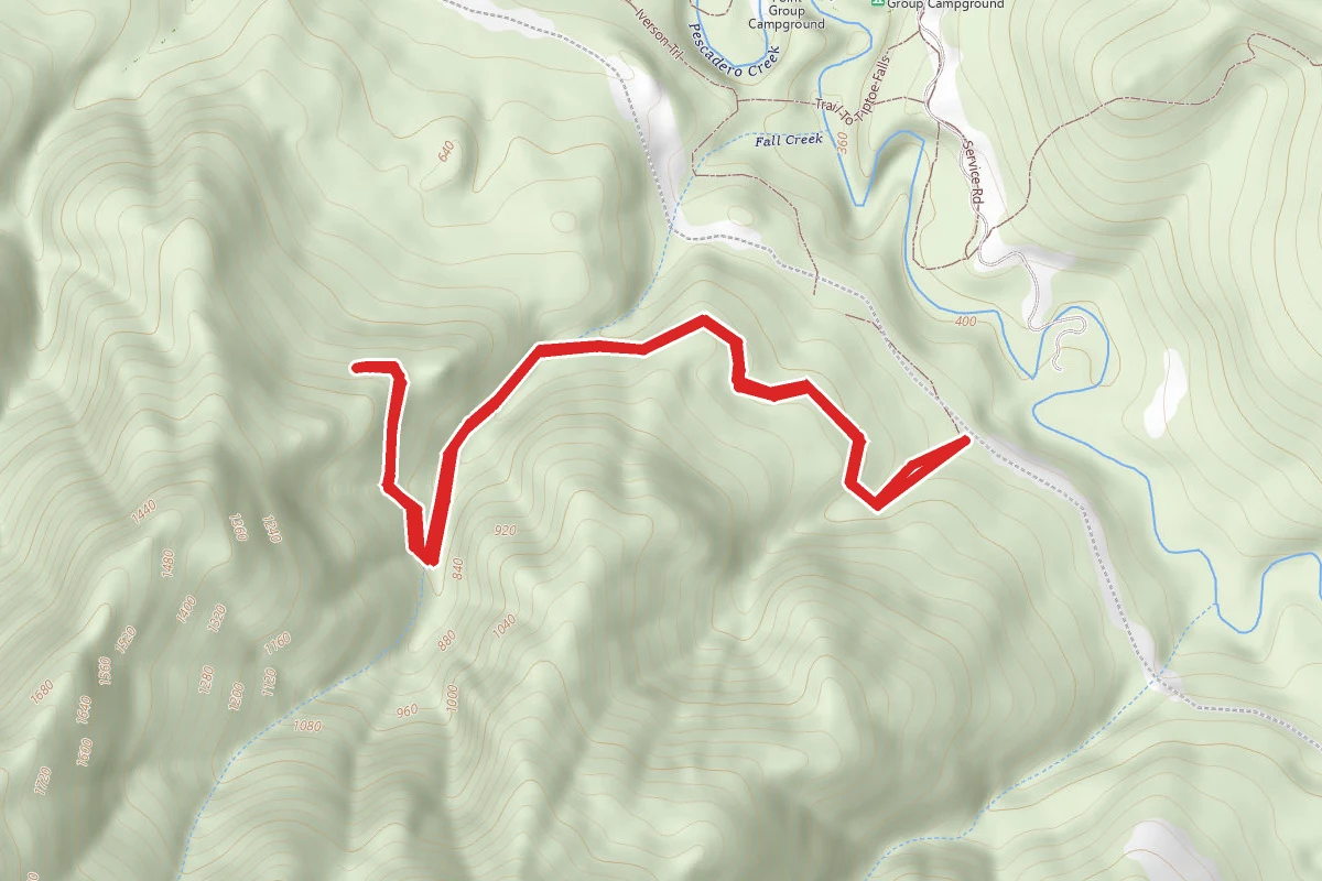 Portola Trail
