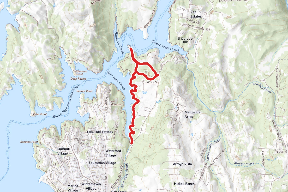 Monte Vista and New York Creek Trails