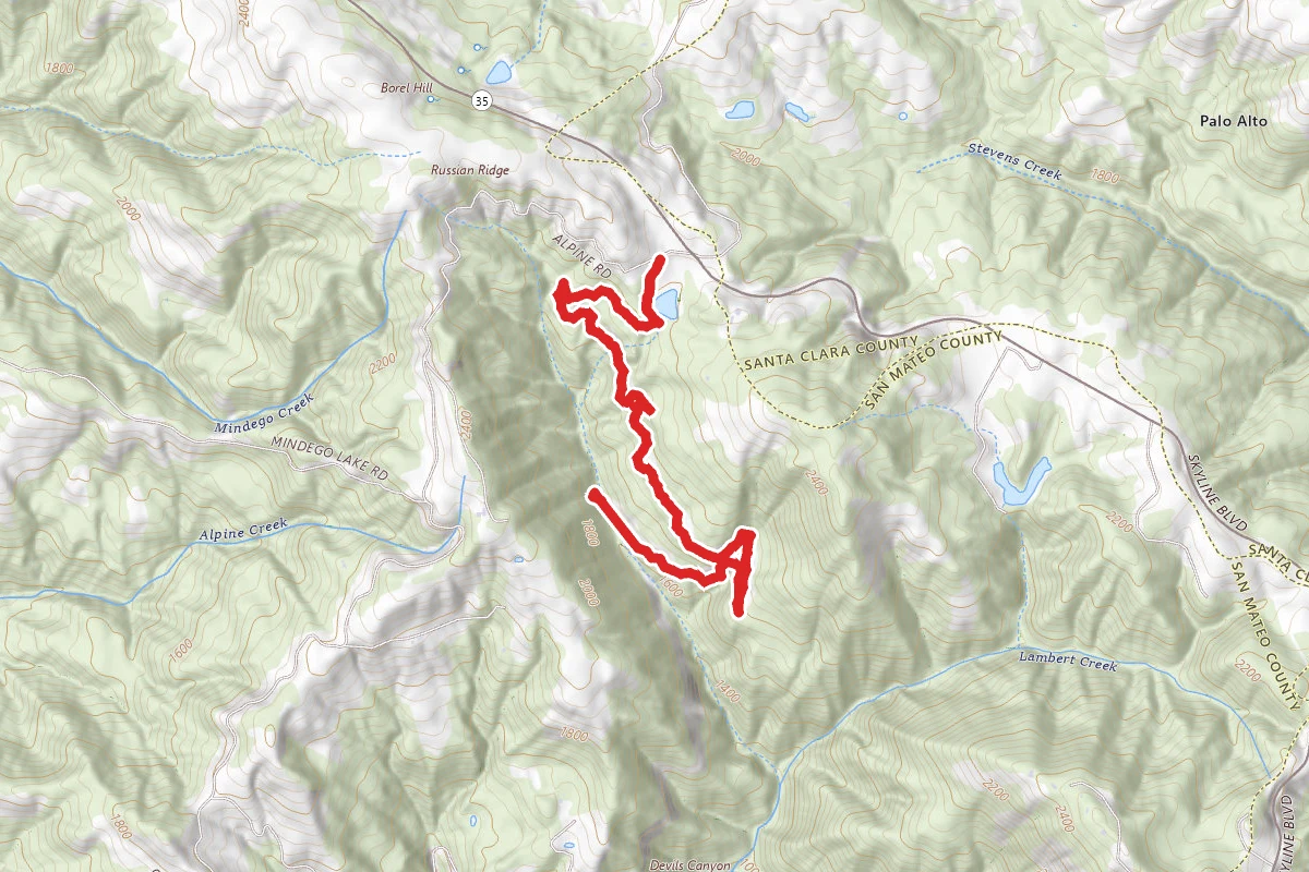 Old Page Mill Trail