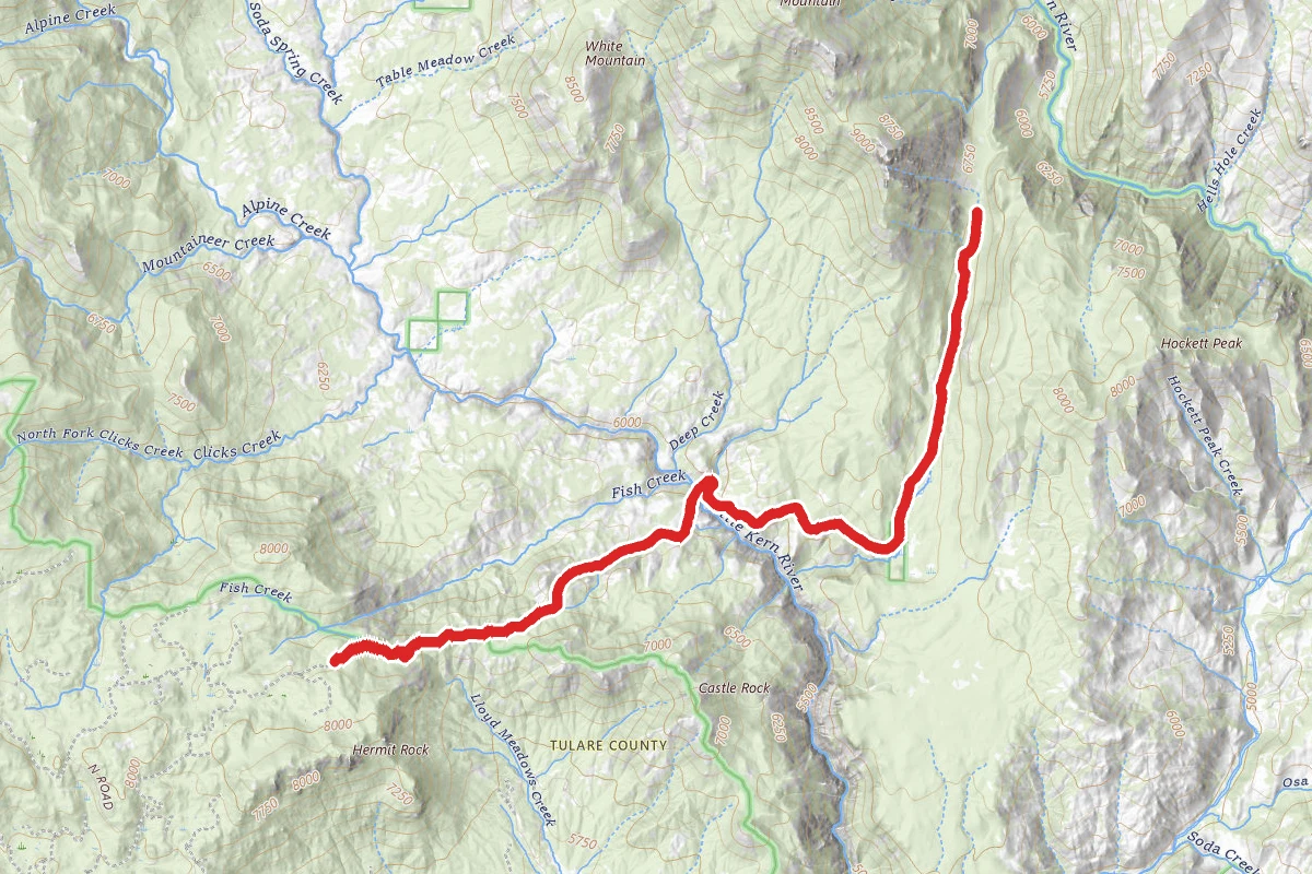 Trout and Willow Meadows