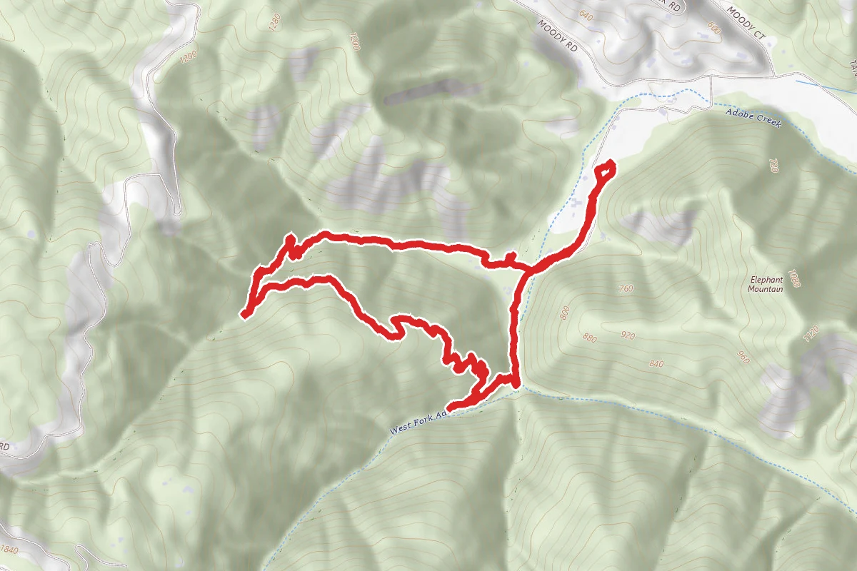 Long Bunny Loop Trail