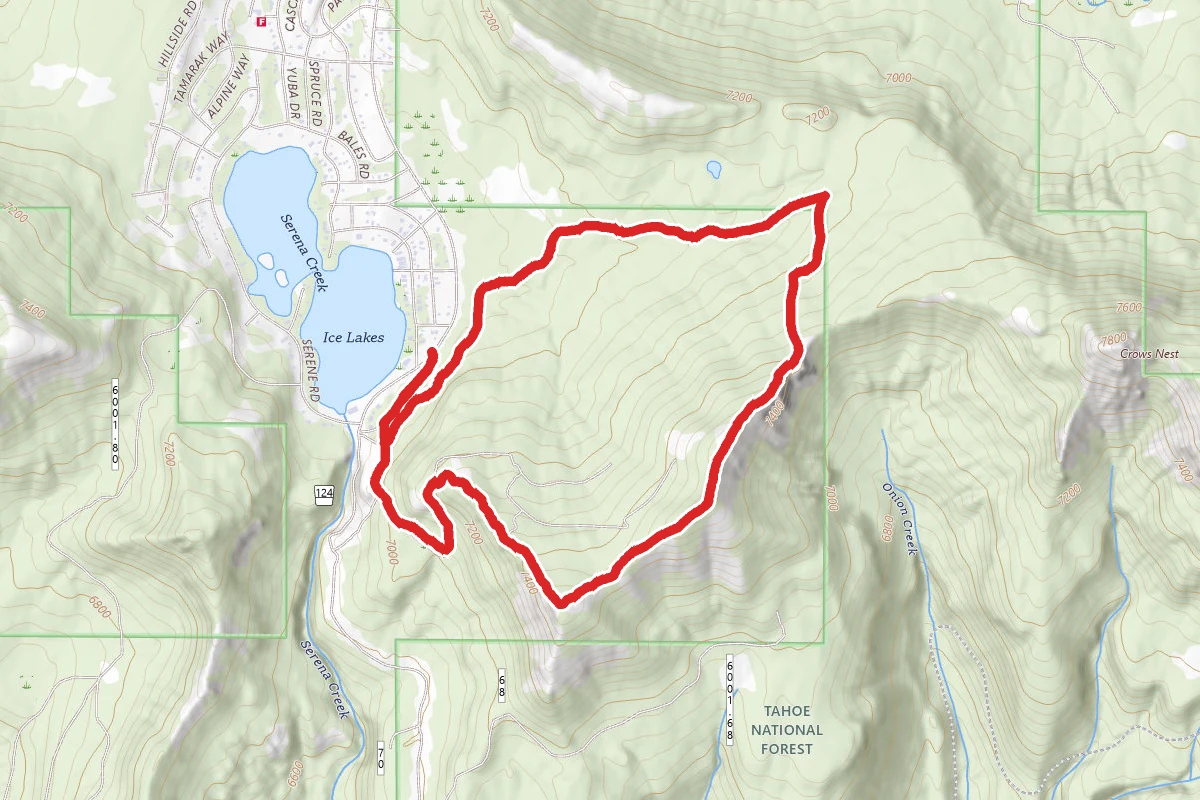Rowton Peak via Reindeer, Claim Jumper, and Razorback Trails