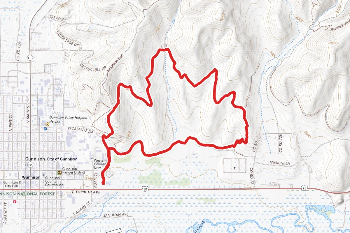 Lower Ditchline and Contour Trail Loop