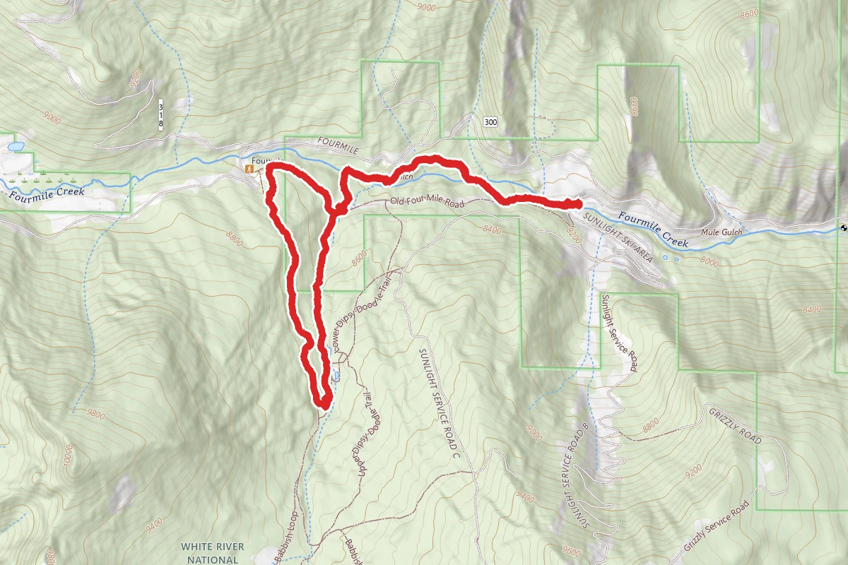 Sunshine Snowshoeing Trail