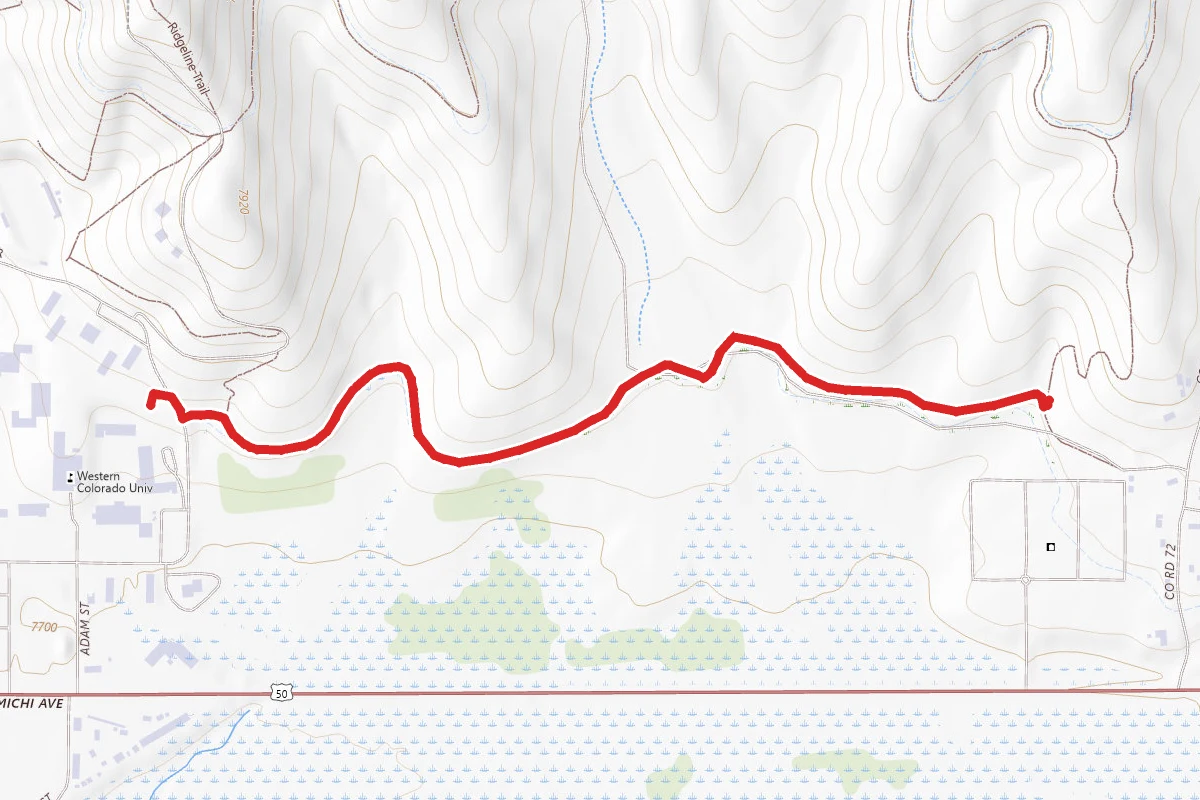 Lower Ditchline