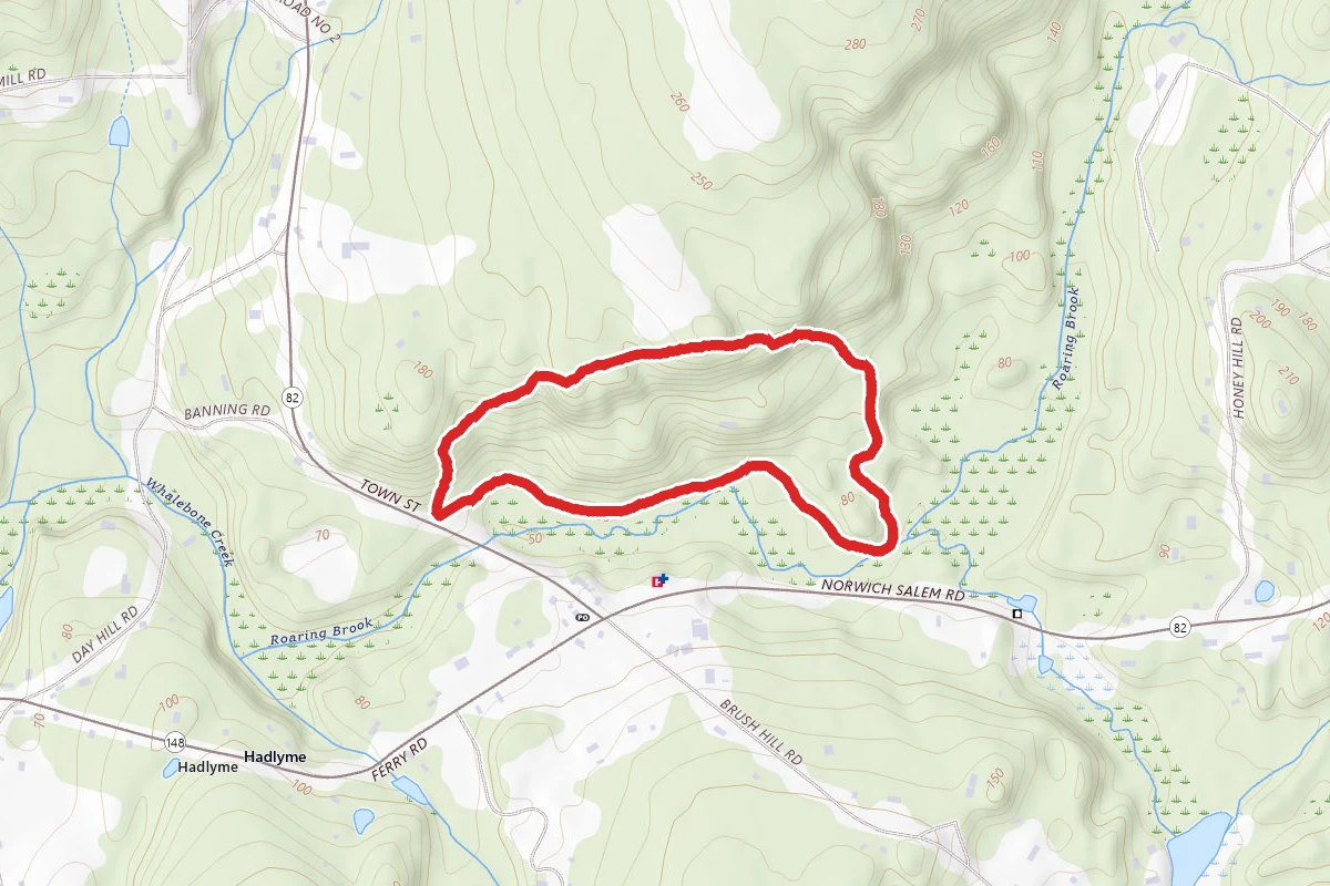 Banningwood Red Loop