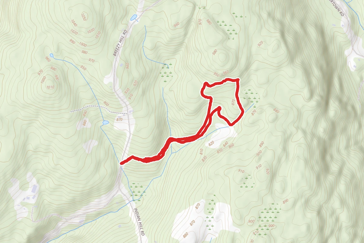 Canton Land Conservation Trust - Yellow and Blue Blaze Loop