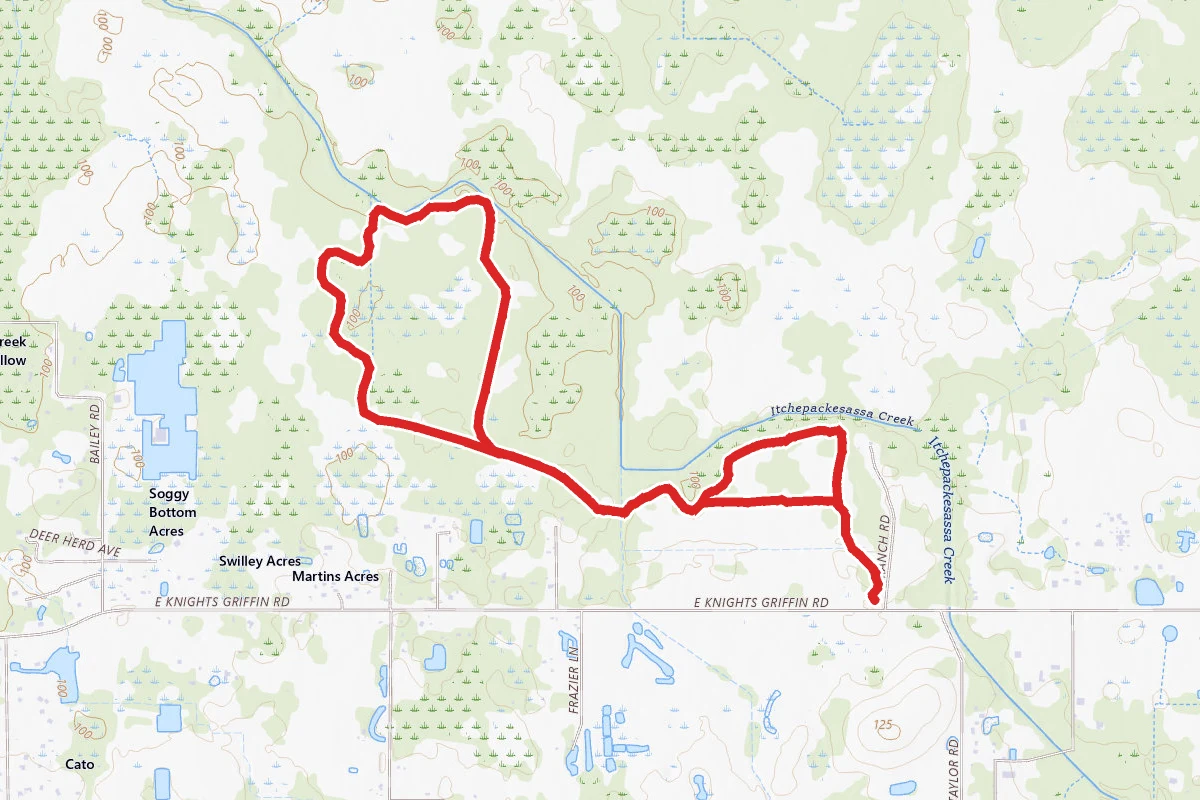 Lower Green Swamp Southeast to Southwest Loop