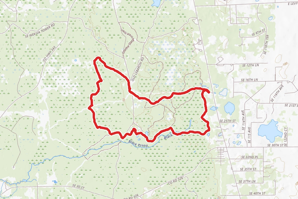 Black Prong Orange Trail