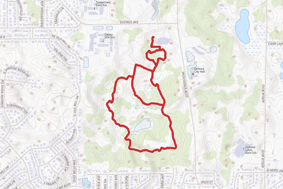 Red Root and Blueberry Trail