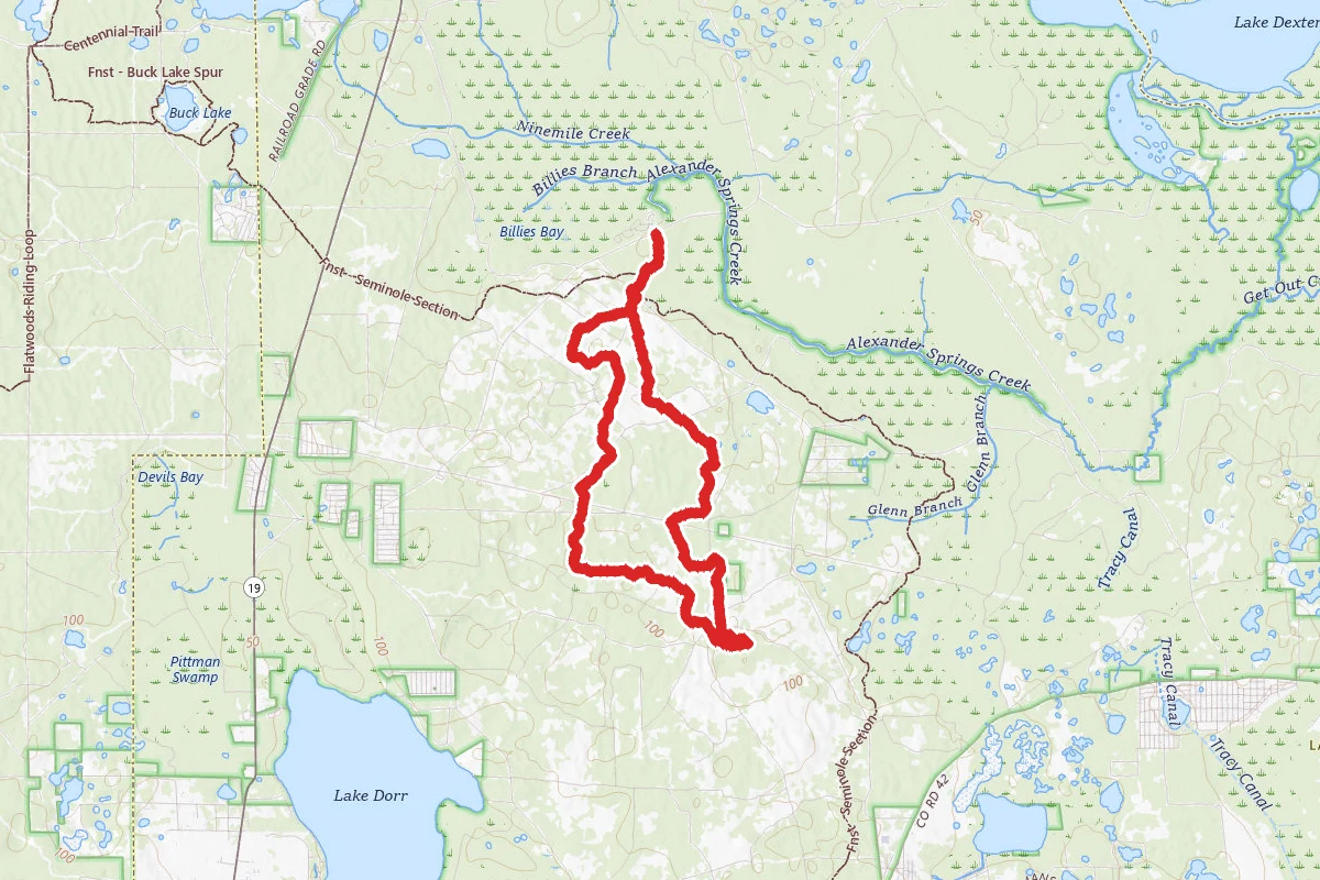 Alexander Springs Yellow Loop