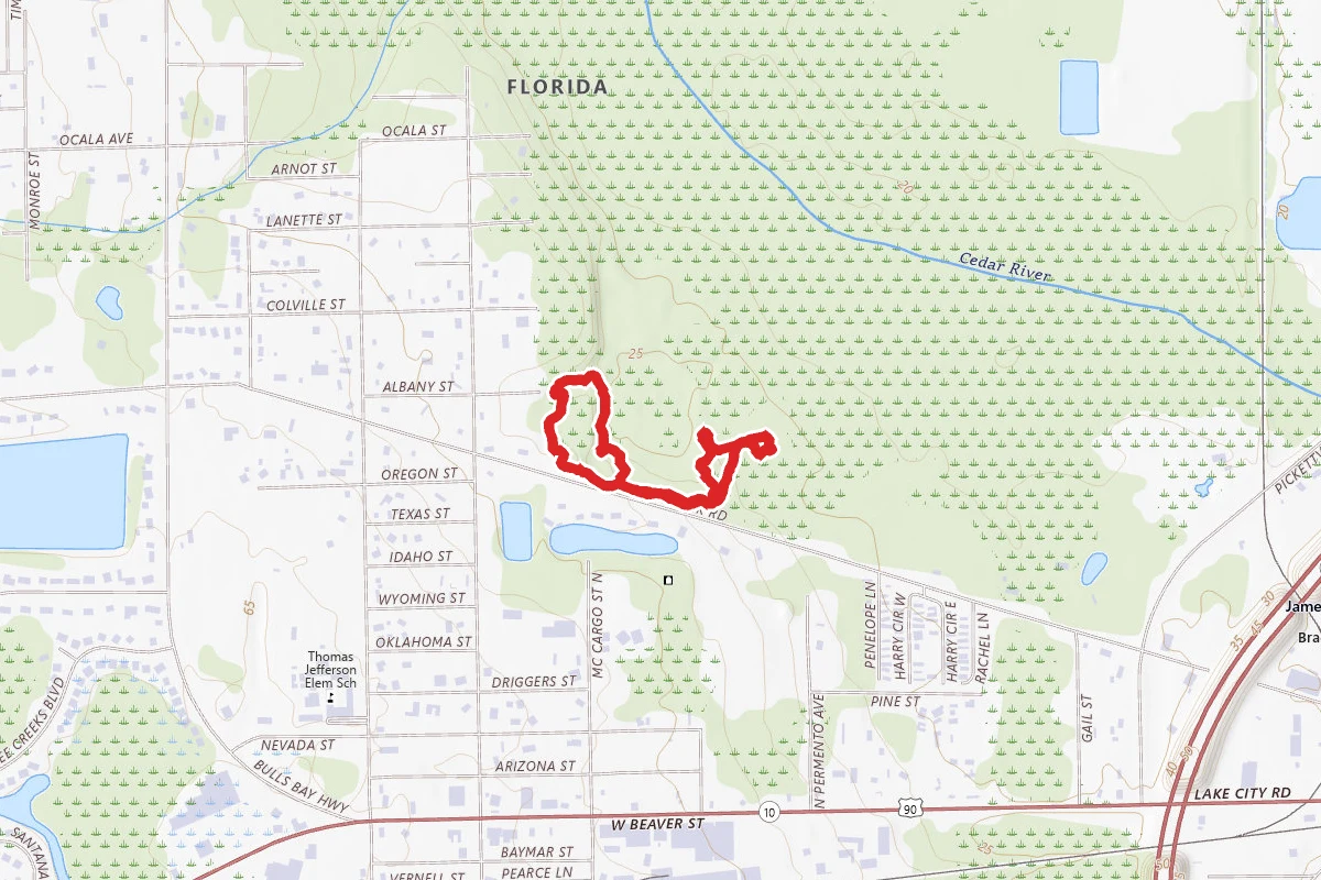 Bulls Bay Preserve Trail