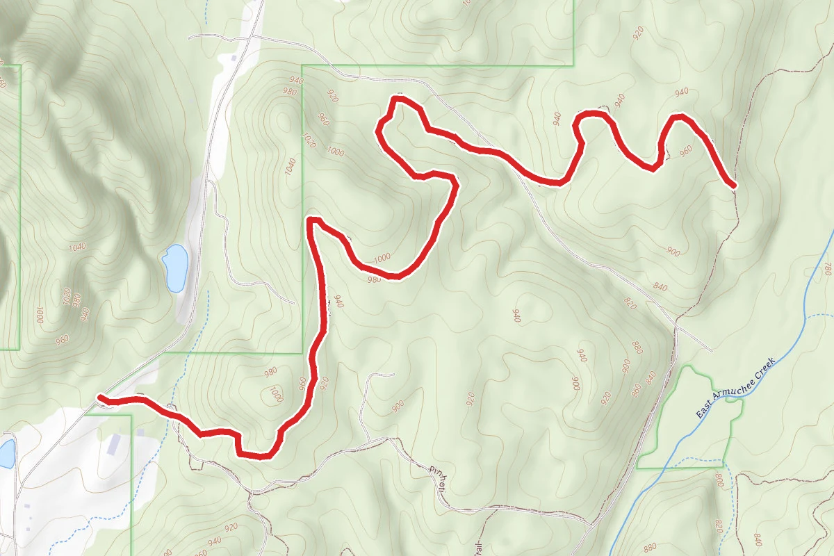 Turkey Trail