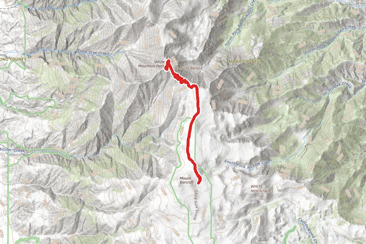White Mountain Peak Trail