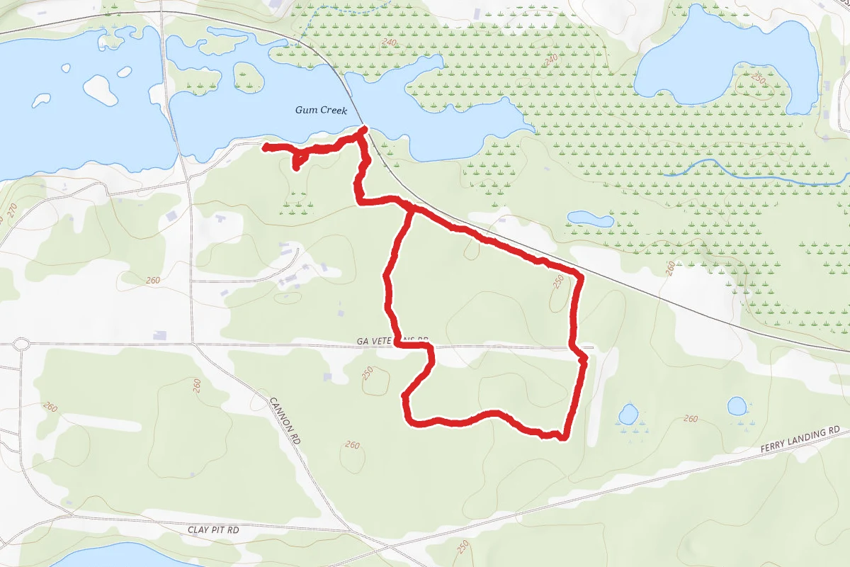 Walk In The Pines Trail