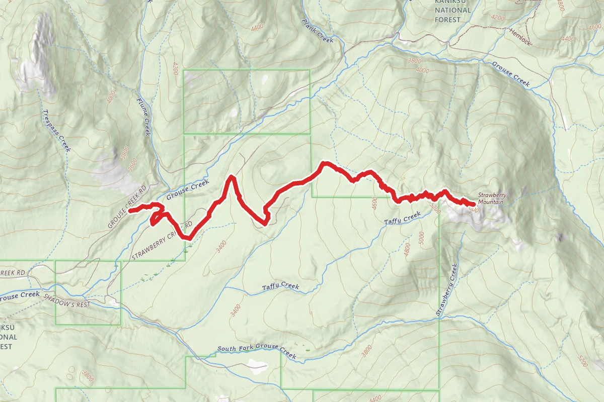 Strawberry Mountain Trail #355