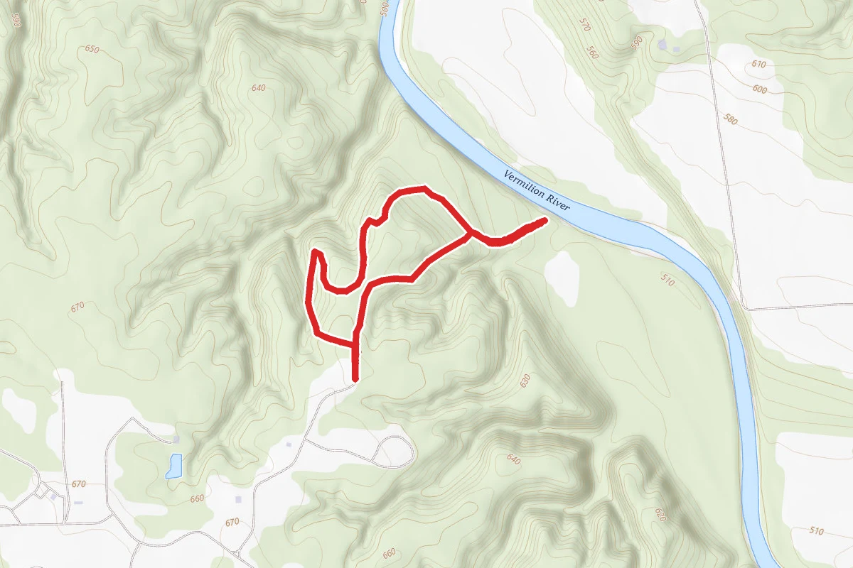 Tall Tree Trail