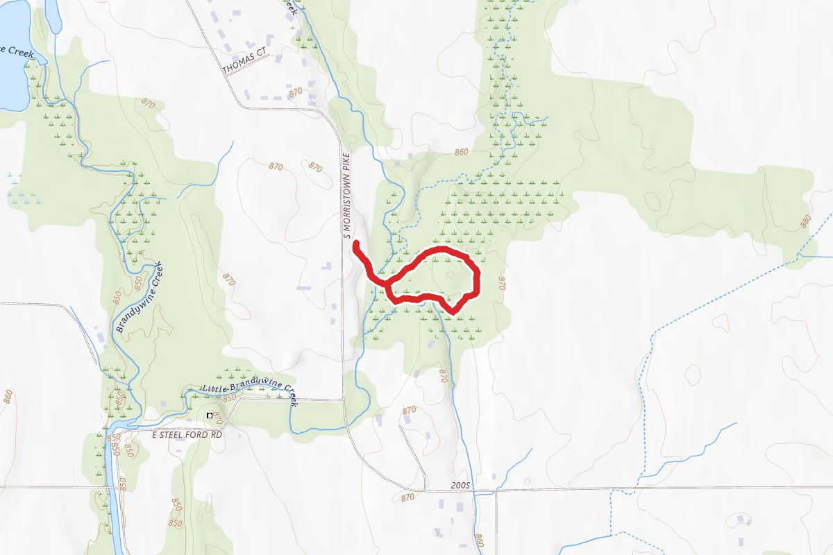 Thornwood Preserve Loop
