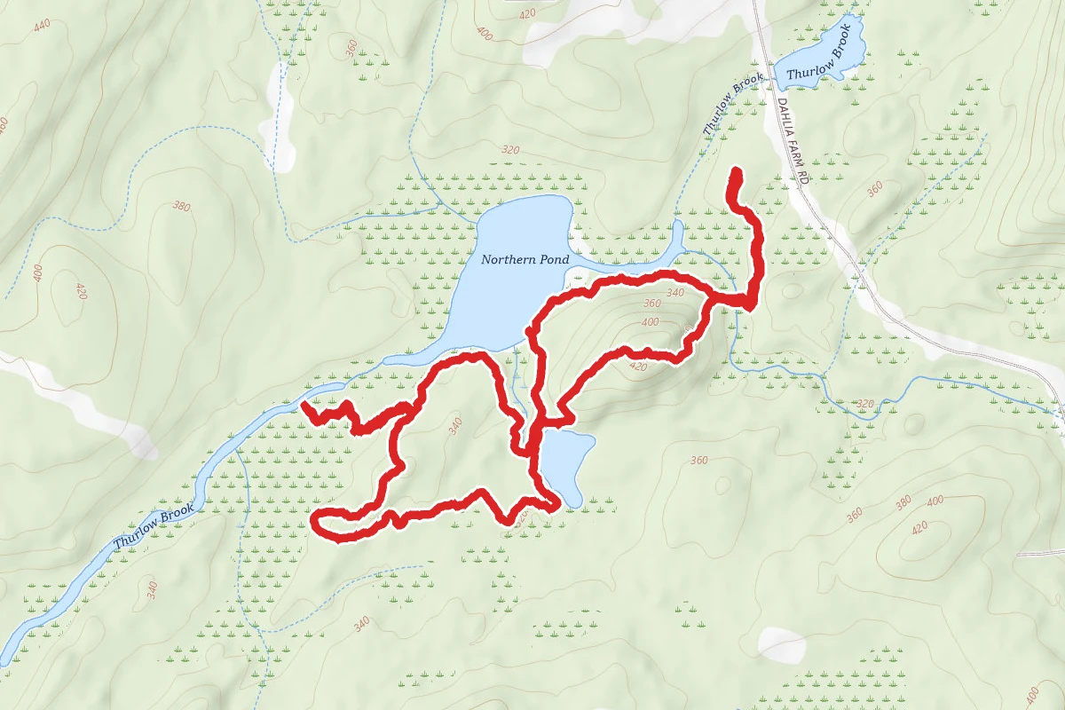 Northern Pond Natural Area