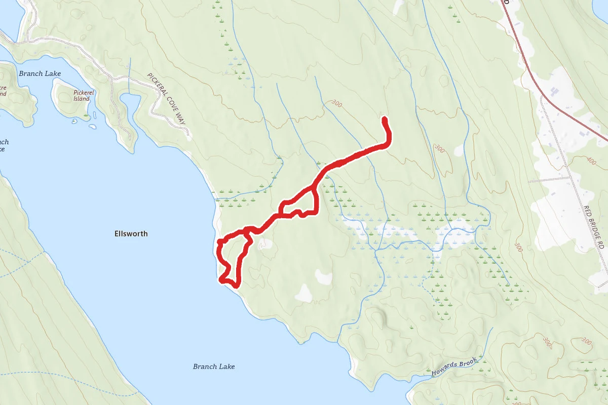 Branch Lake Public Forest Loop