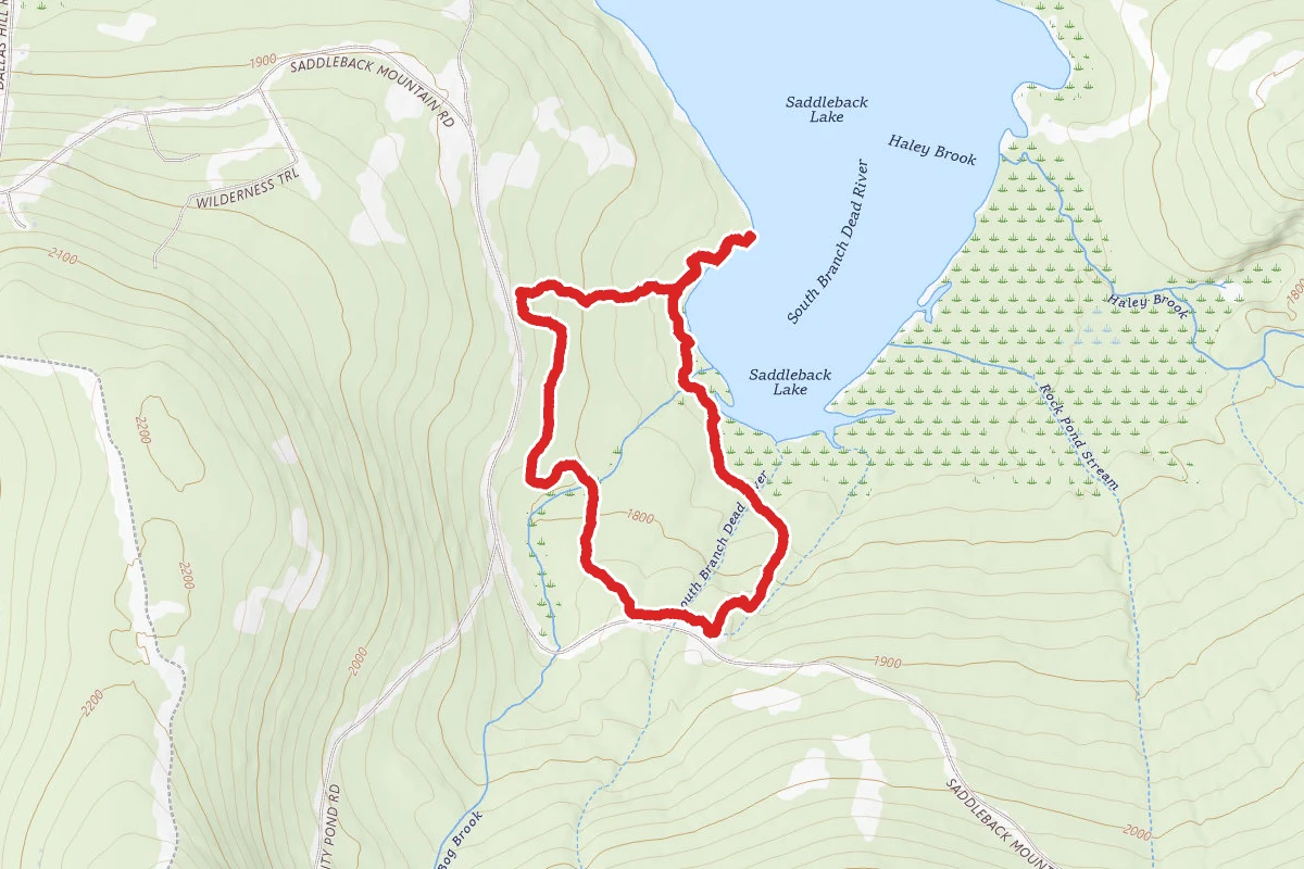 Lake and Geneva Loop