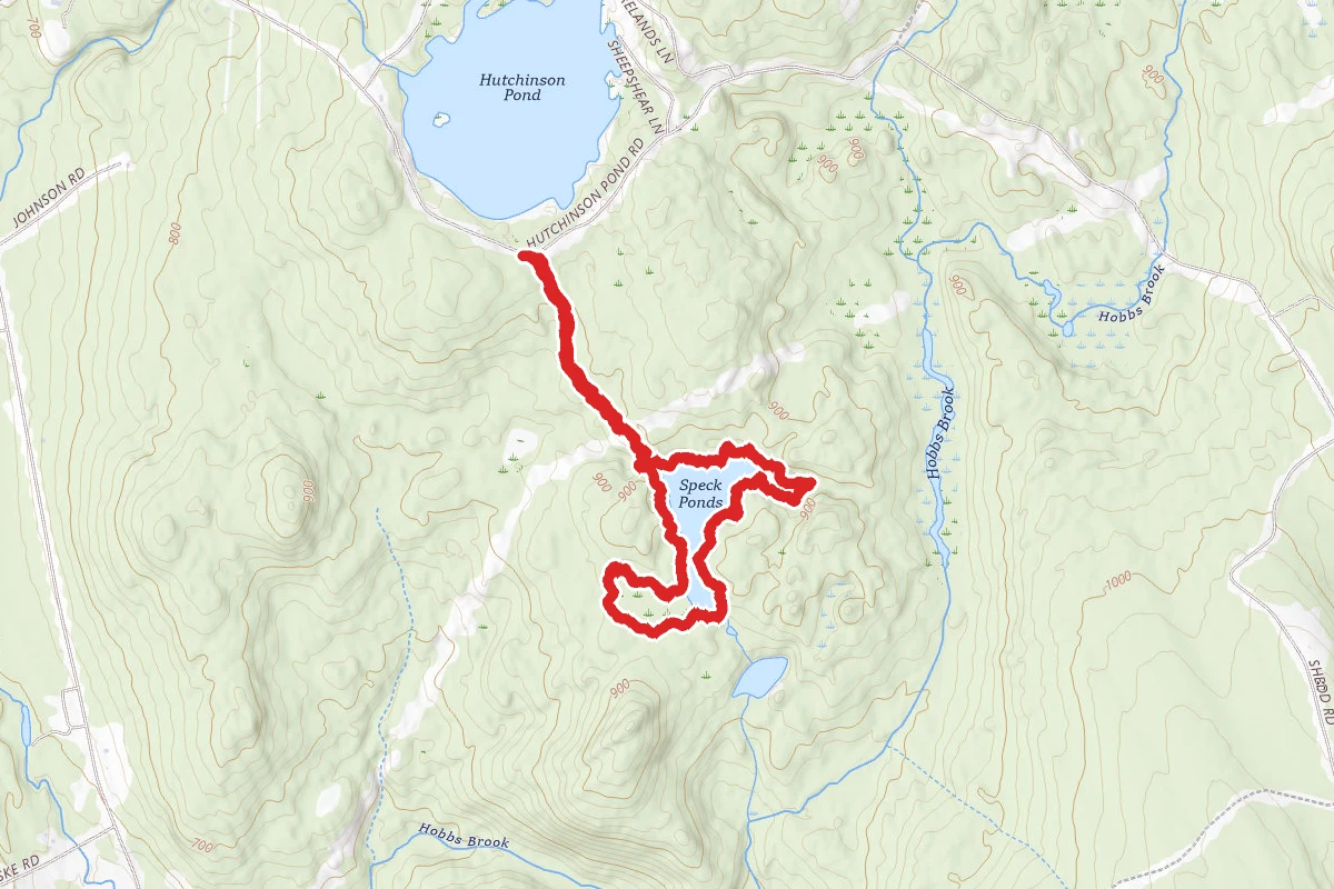 Speck Ponds Loop