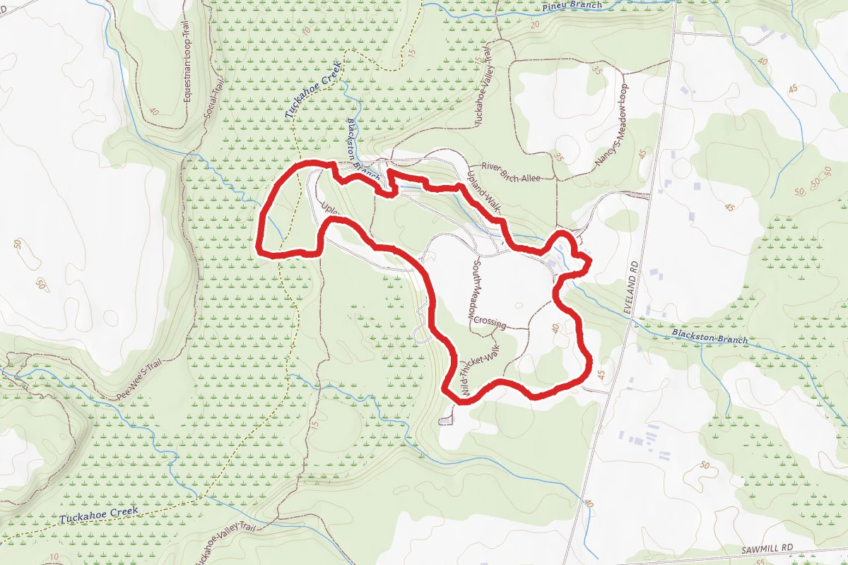 Adkins Arboretum Loop