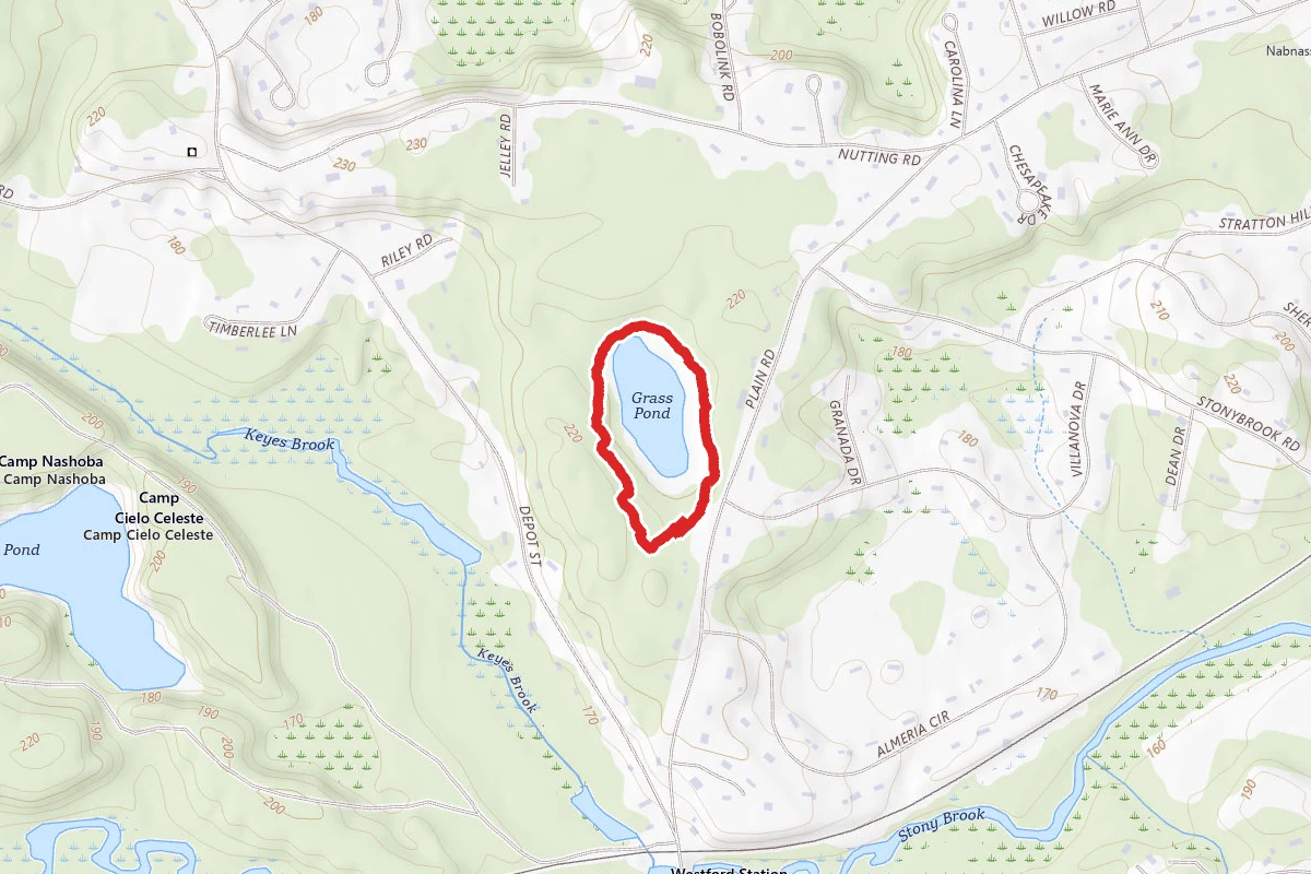 Grassy Pond Lifecourse