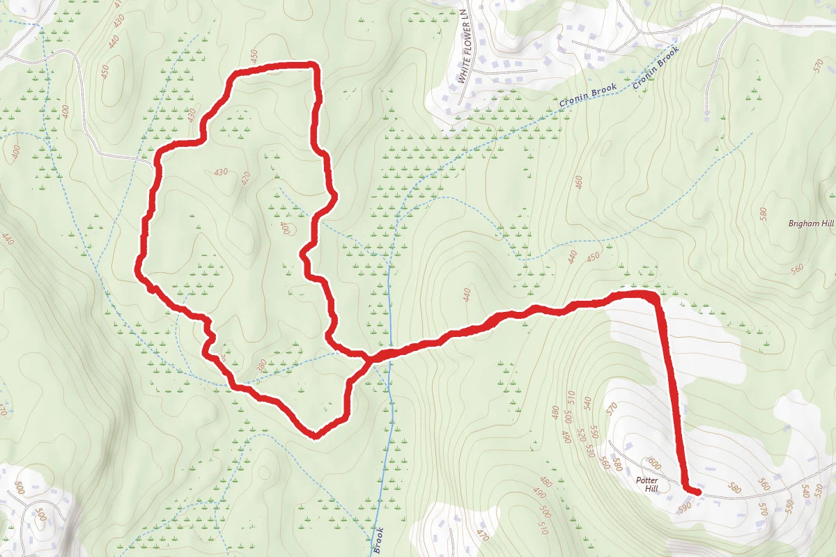 Potter Hill