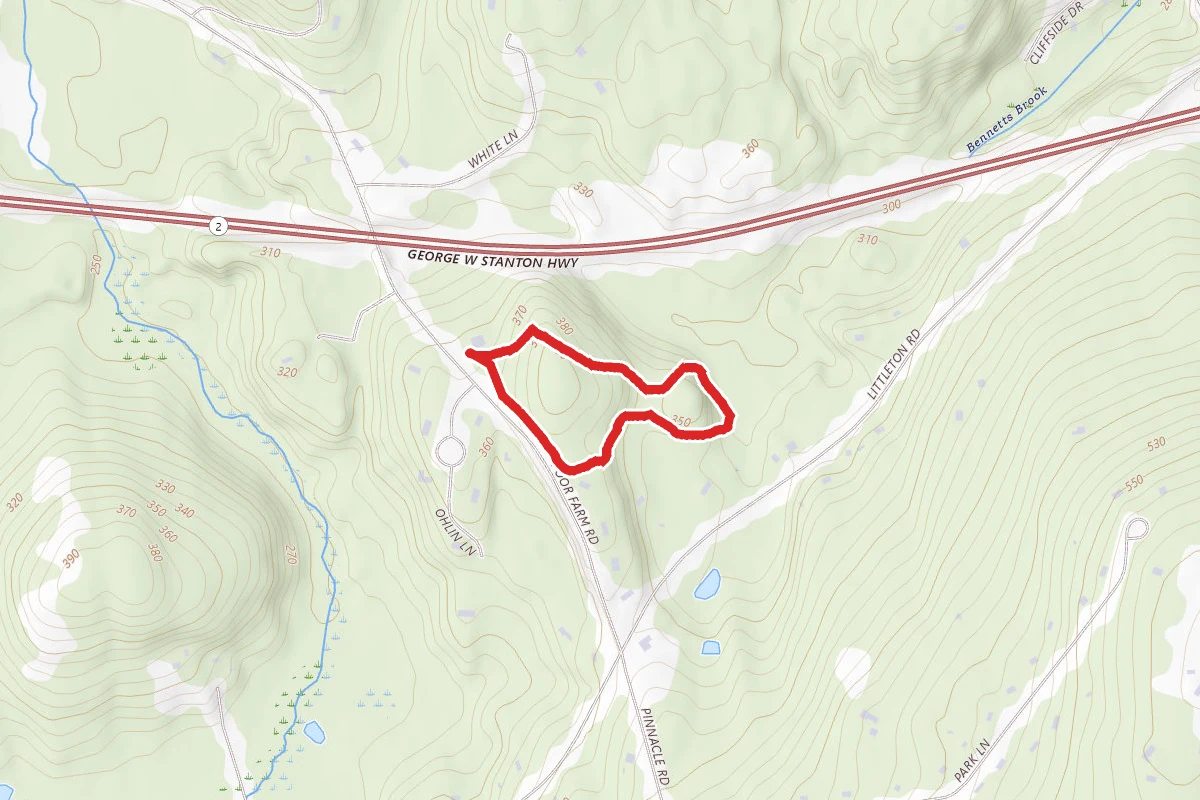 Town Forest Yellow and Blue Loop