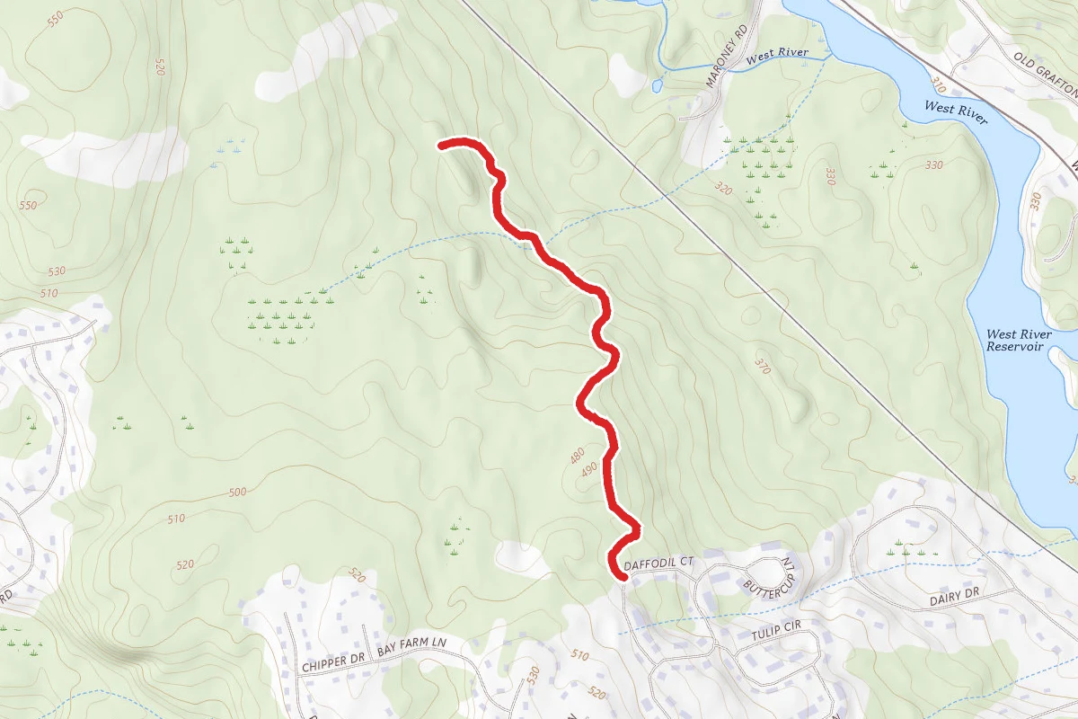 Macomber Land Purple Trail