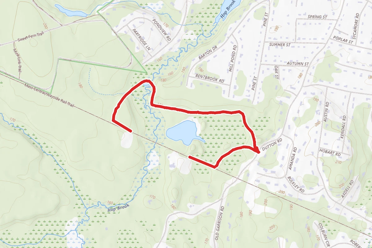 Hopbrook Old Pine Trail Loop
