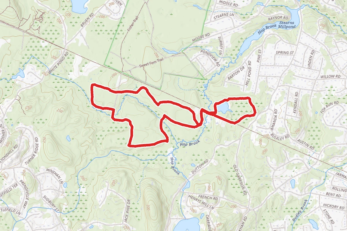 Blueberry, Desert Trail, Cranberry Brook, Ocean By-Pass, Plymton Trail, Old Pine Loop