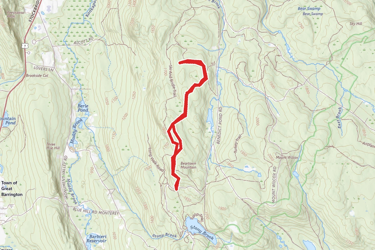 Wild Cat Trail