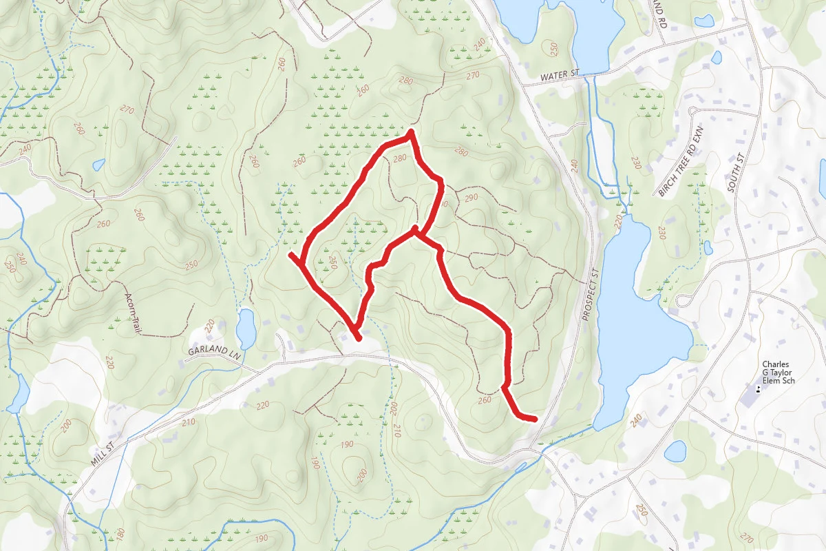 Prospect, Pine Hill, and Tupelo Trail