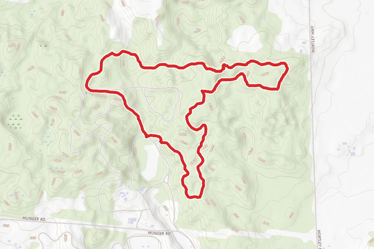 Pine Trail Loop